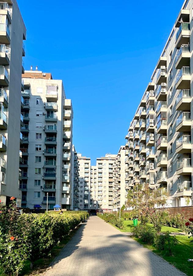 Wood Story - Modern 1Br Apt Near City Center With Parking 부쿠레슈티 외부 사진